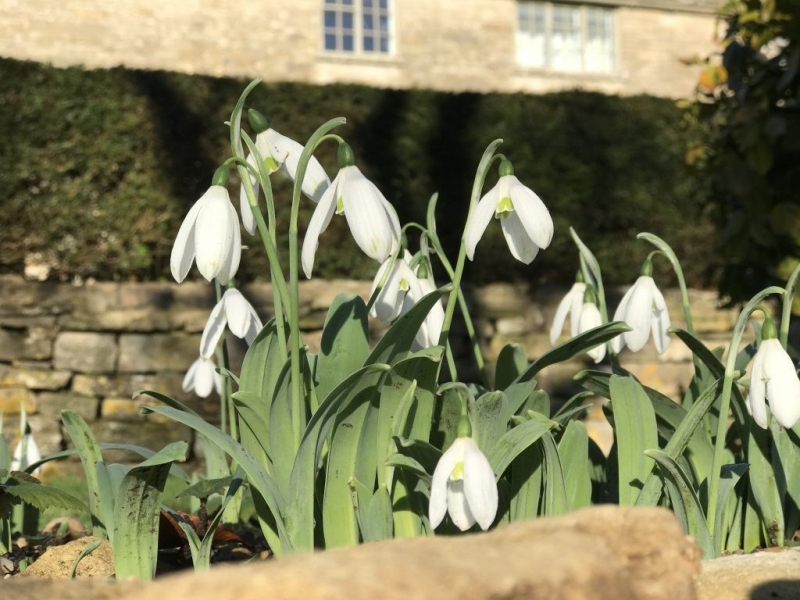 Cotswold Farm